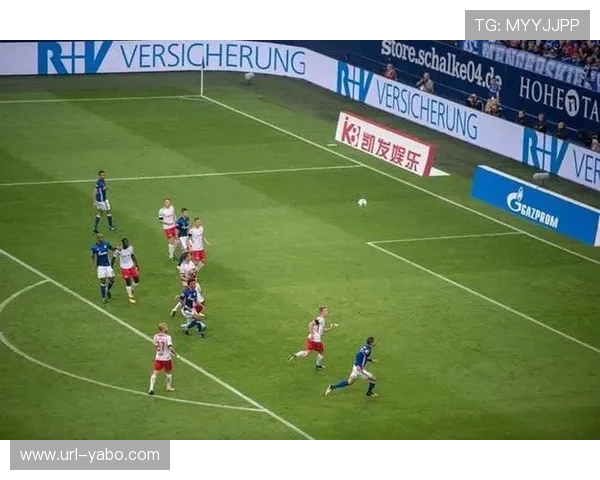 沙尔克04从美因茨租借中后场多面手尼克拉斯·陶尔